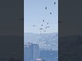 game vide in Action