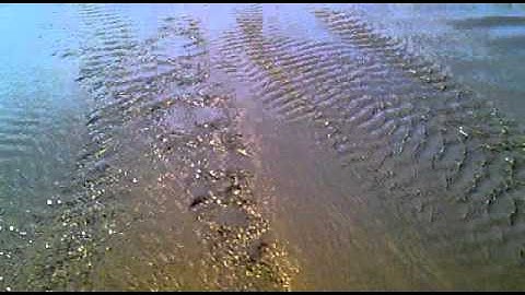 sedimentology field trip 2