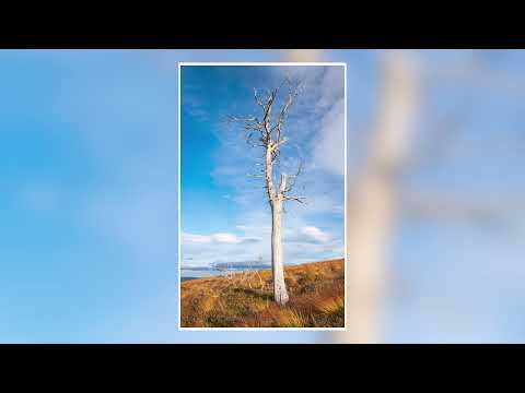 Some photographs from around Aviemore in Autumn, Part I