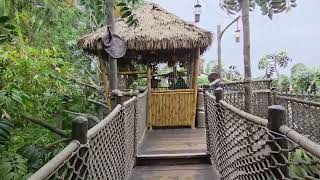 Adventureland Tree House | Disneyland
