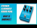 REVIEW (2026): Strymon Cloudburst Reverb Pedal. Features