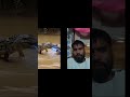 전기뱀장어 vs 카이만 악어 (아마존 얕은 물)[Electric Eel vs. Caiman