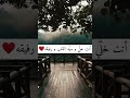 كلمات لها معنى  2