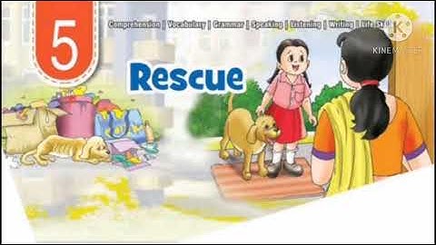 Rescue ( Question / Answer ), Class - 4