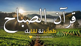قرآن الصباح | سورة البقرة - قران كريم بصوت جميل جدا جدا - راحة نفسية لا توصف