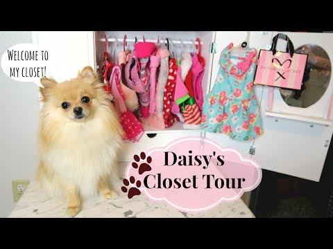 DOG CLOSET TOUR! Clothes & Accessories | 2018