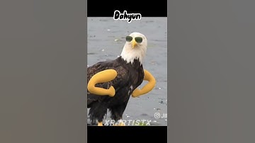 Twice as animals #nayeon #jeongyeon #sana #momo #dahyun #chaeyoung #mina #tzuyu #jihyo #twice