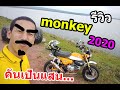  monkey 2020  787