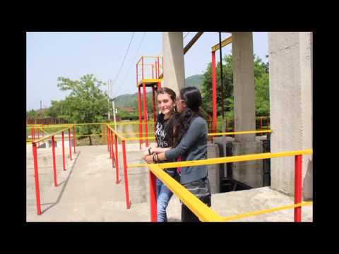 მეგობრები