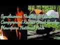 Synchronous Fireflies and Elkmont Campground Review 2019 Great Smoky Mountains National Park