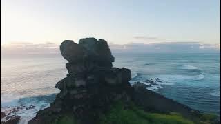 Download lagu In The Wild - National Sweetheart amazing nature