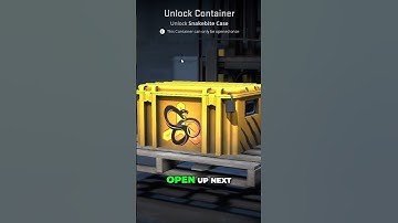 Opening Cases for 365 Days! Day 55 #CS2 #CSGO #caseopening #cs2 #csgo #counterstrike #gaming