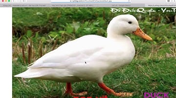 Android Studio: Căn bản về đa tiến trình