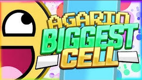 Agar.io - 48,270 MASS REAL QUICK ON TYT SERVER - (Agario)