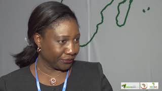 Financing Climate Change Adaptation in Africa by Nepad