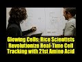 Glowing Cells: Rice Scientists Revolutionize Real-Time Cell Tracking with 21st Amino Acid