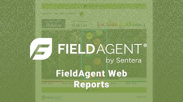 FieldAgent Web Reports
