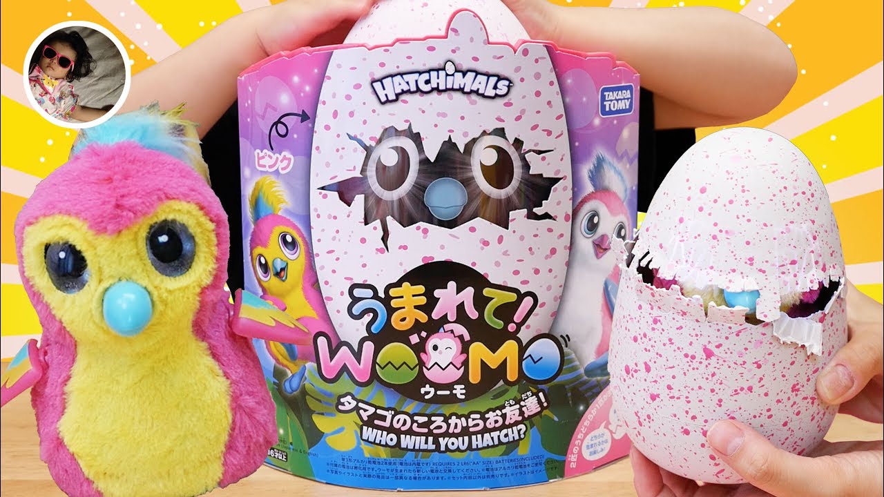 モニター当選☆うまれて！ウーモ初体験！！ / Hatchimals Hatching Egg