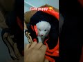 Pomeranian puppy 😍🥰 ll Pomeranian dog 🐶😂🤣 #viral #dog #pets #labradorretriever#viral #pomeranian