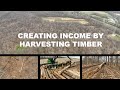 Creating income by harvesting timber
