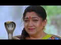 Nandhini - நந்தினி | Episode 456 | Sun TV Serial | Super Hit Tamil Serial