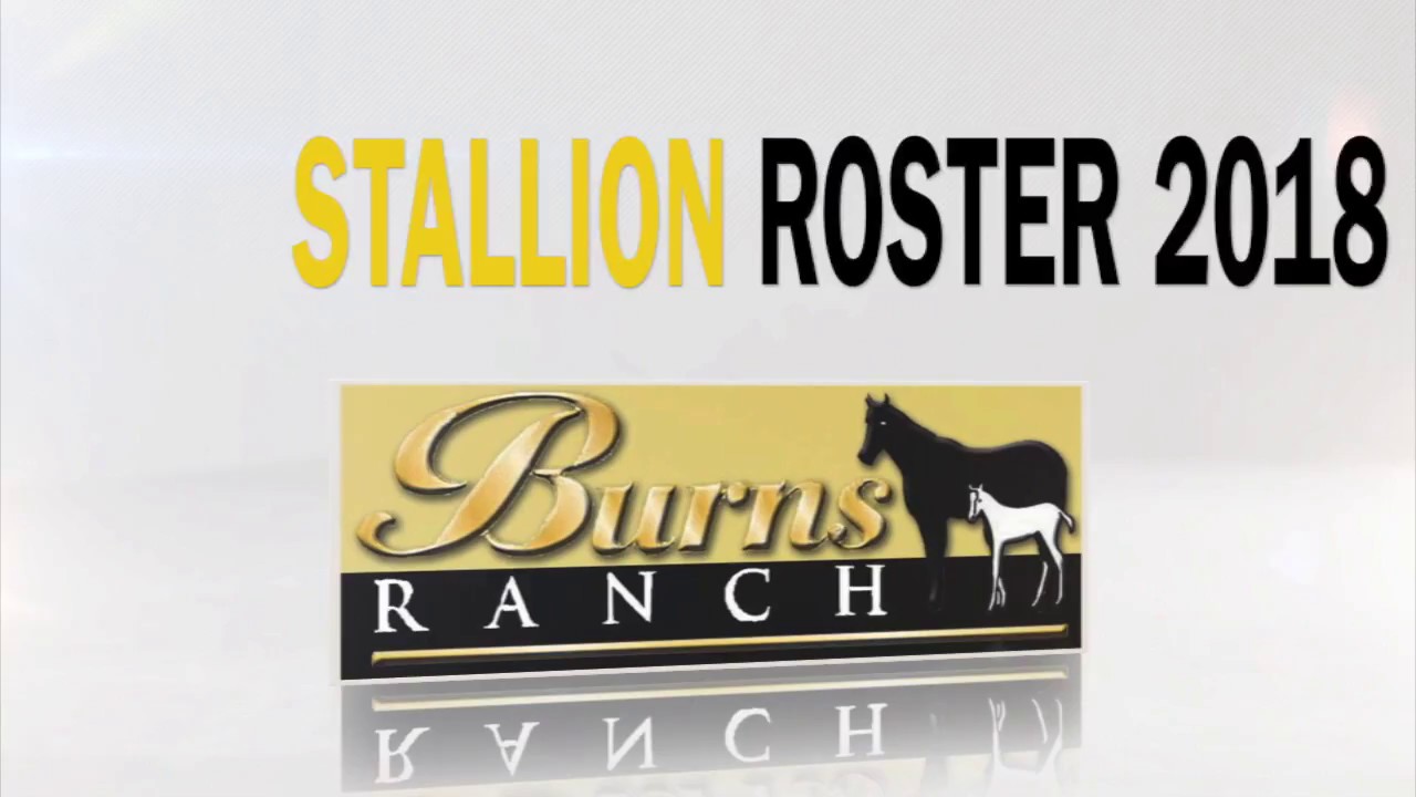 Burns Ranch Stallion Roster 2018 YouTube