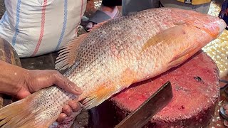 Nice Fish Cutting Skills | Big Red Snapper Fish Cutting In Fish Market