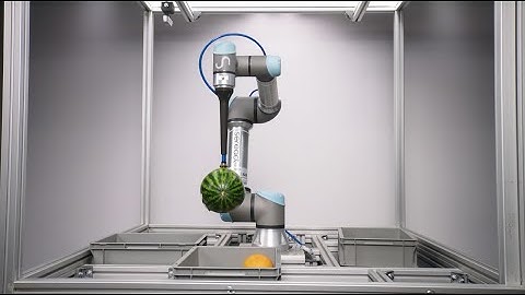 Food picking - Pick and Place fragile items | Sereact