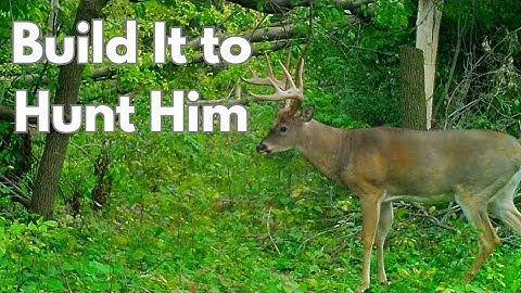 The #1 Thing We Did to Help Our Property Hold More Deer