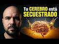 Qué Le Hace el Alcohol a Tu Cerebro y Por Qué No Puedes Dejarlo