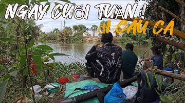 SĂN CÁ Ở CẦU N1-ĐỨC HÒA LONG AN- PHẦN 1- EP36 ! fishing