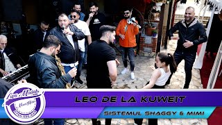 Leo de la Kuweit - Sistemul Shaggy & Mimi,o distrugatoare de inimi by 👍🏻NeverHideEvents🔔