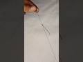fishing knot #fishing #fishingtips #fishingvideo #shorts