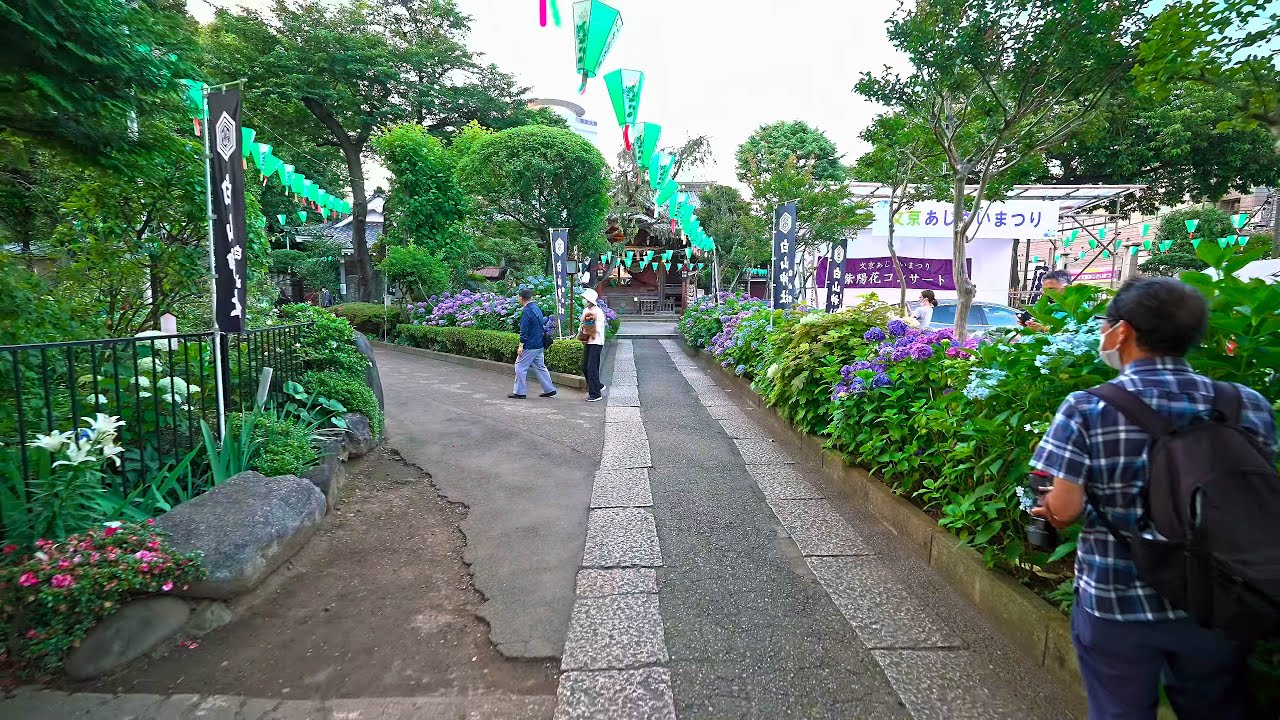 Вечерняя прогулка по Бункё, Токио・4K HDR