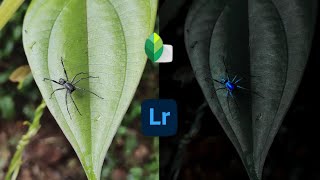 HOW TO APPLY A DARK MOODY EFFECT ON A MACRO SHOT | SNAPSEED + LIGHTROOM TUTORIAL |2020| screenshot 3