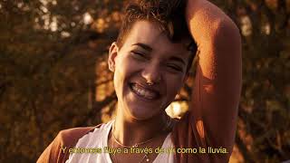 - Gratitude - El Norte Del Sur Films Inspired By American Beauty