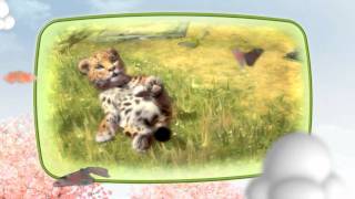 Official: Kinectimals Kinect Animals cute animal cubs HD Kinect video game trailer - X360