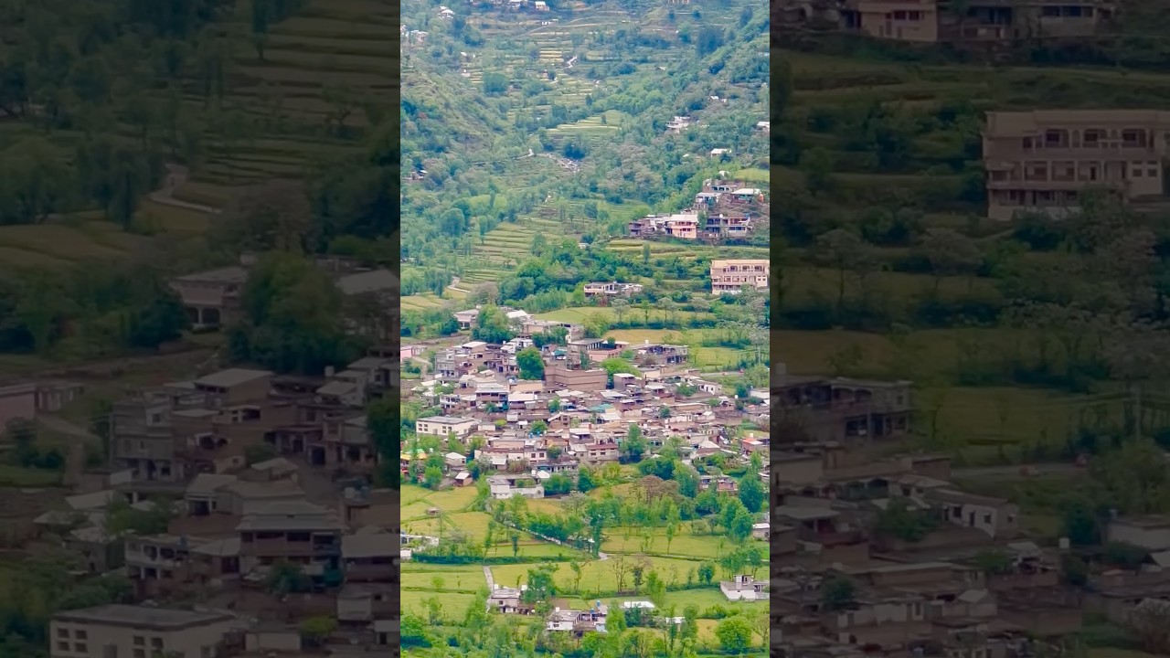 Feel the sound and view 🫀😱 