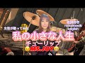 TULIP チューリップ / 私の小さな人生 / 女性が歌ってみた / 歌詞付きromanized &amp; english subtitles @MS.JOY-MJ