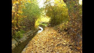 Malatyayi Özledi̇m