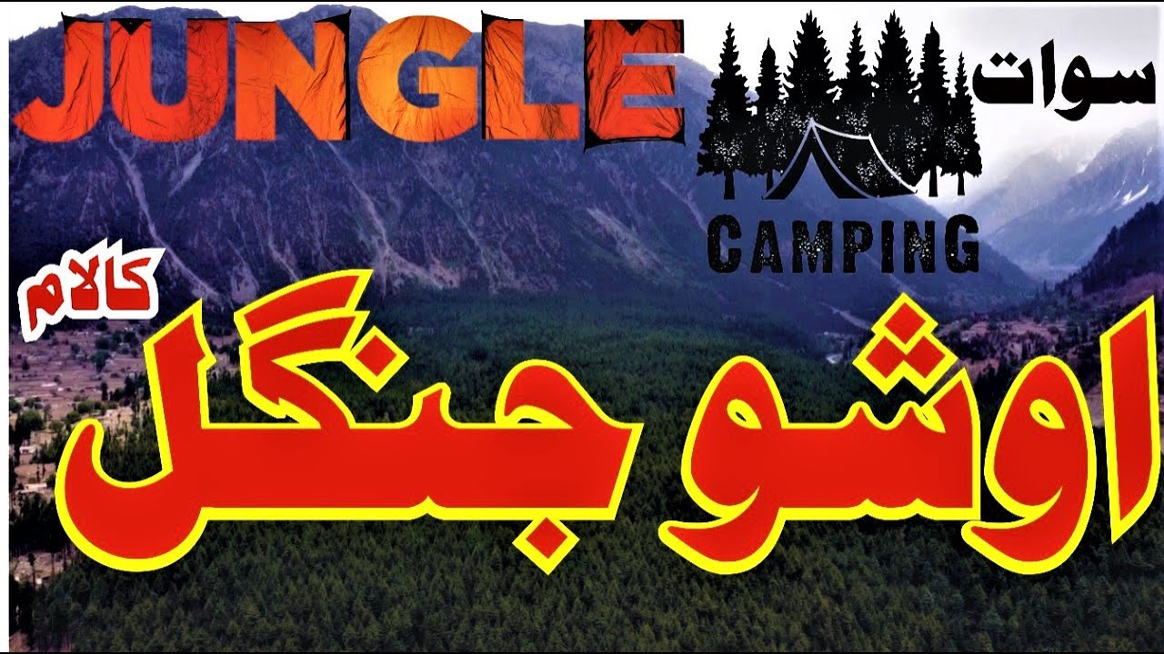 Ushu Forest Tourists Set up Tents in the Ushu forest of Kalam | Short Documentary | Sherin Zada