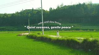 Quiet seasons, gentle peace...(a soft playlist for relaxing) screenshot 2