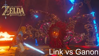 Link fights Ganon (monster) and saves princess Zelda and the whole land! screenshot 2