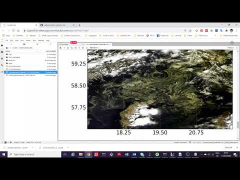 Jupyter Notebook - Cyanobacteria bloom in the Baltic Sea