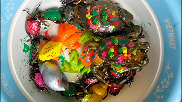 Binbotv bắt các con vật nhuộm màu trên sân con cua, cua đỏ, ốc sên, con tôm, con rùa -part 33