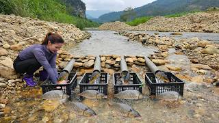 Full video of Ana's 30 days fishing in the stream and the bountiful catches in her traps. News