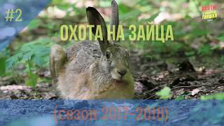 (18+) ХИТРЫЙ ЗАЯЦ (охота на зайца #2) Сезон 2017-2018... (18+) ХИТРЫЙ ЗАЯЦ (охота на зайца #2) Сезон 2017-2018...