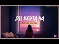 Dil Kehta Hai Slowed Reverb - Feeling Unique | Female Version | Akele Hum Akele Tum | New Hindi Lofi Mp3 Song