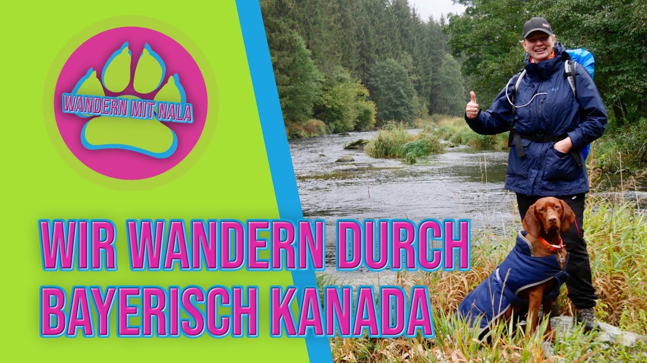 Bayerisch Kanada 🇨🇦 - Bayerischer Wald - Wandern mit Hund 🐕