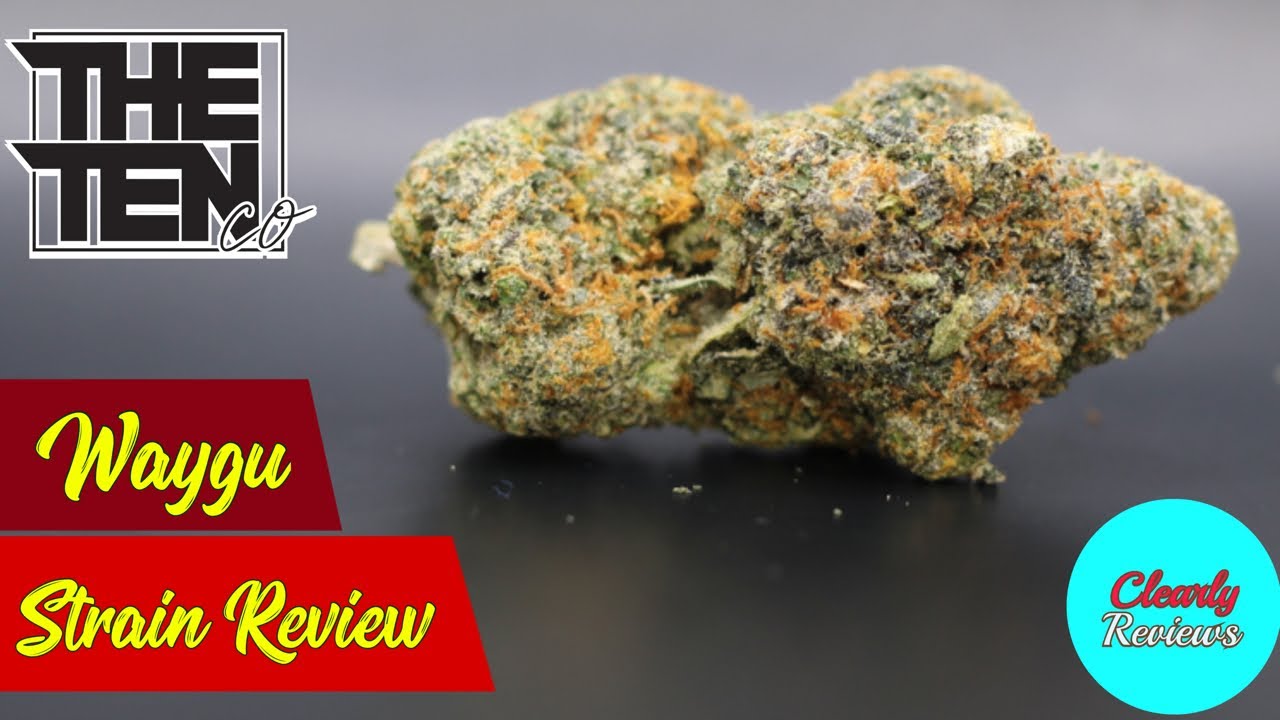 WAYGU By Ten Co STRAIN REVIEW